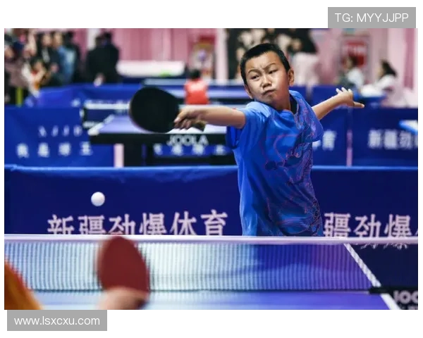乒乓球的魅力与挑战：西安乒乓球队转型背后的故事与启示